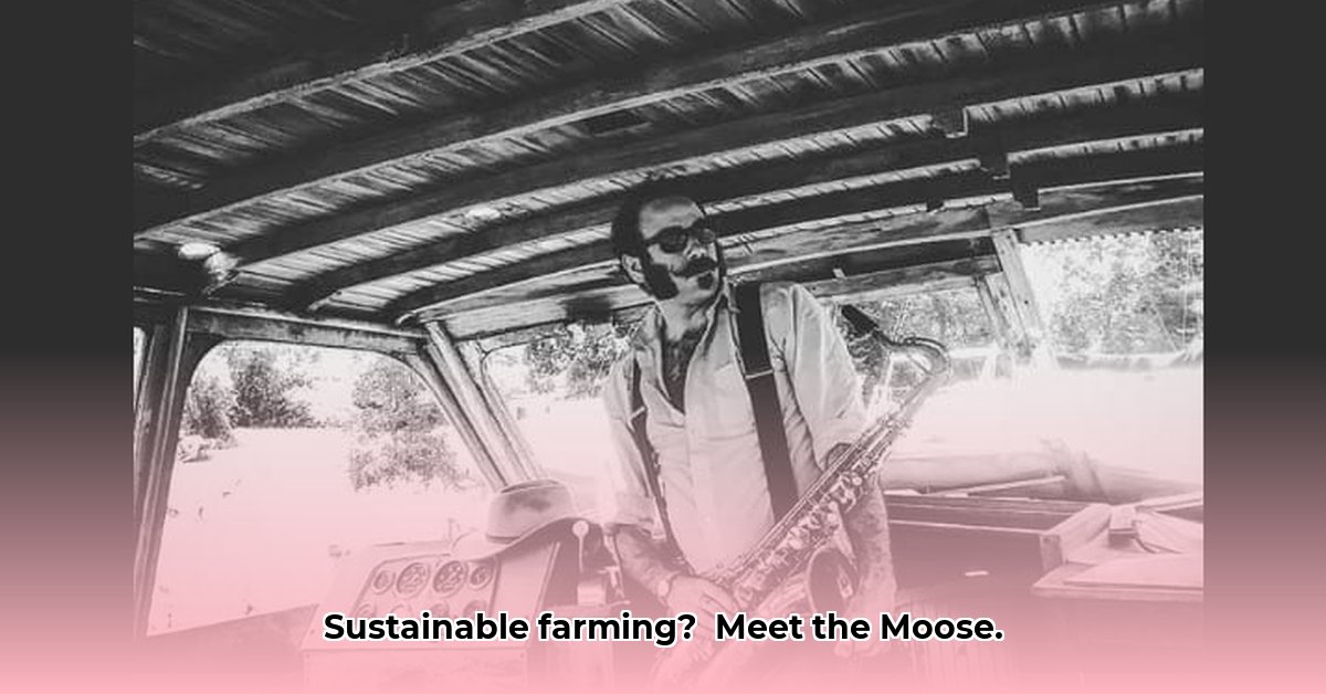 james-moose-tractor